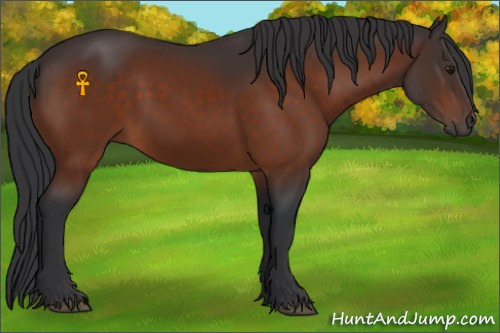 Horse Color:Brown 