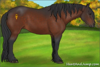 Horse Color:Brown 