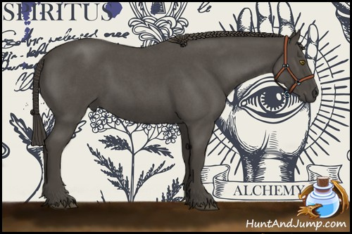 Horse Color:Smoky Blue Roan 