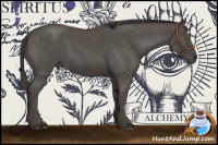 Horse Color:Smoky Blue Roan