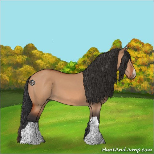 Horse Color:Bay Dun 