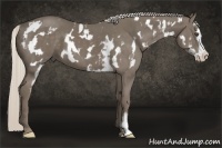 Horse Color:White Spotted Silver Smoky Black Splash Frame 