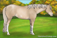 Horse Color:Chocolate Palomino Pearl Tobiano Frame  and Chocolate Palomino Pearl Tobiano Frame 