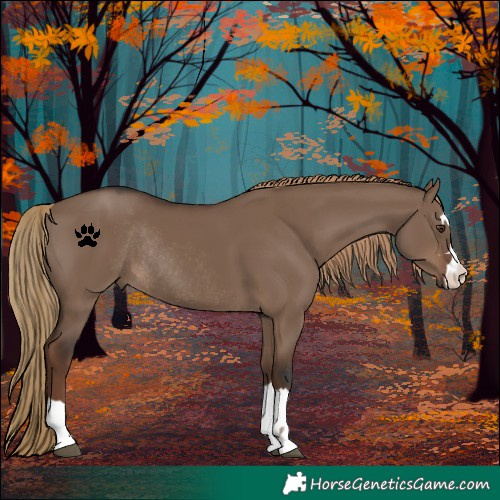 Horse Color:Liver Red Dun Rabicano 