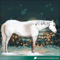 Horse Color:Gray Chestnut 