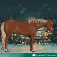 Horse Color:Gray Chestnut