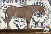 Horse Color:Liver Red Dun Rabicano 