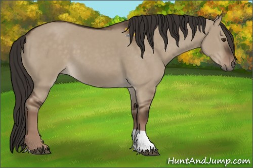 Horse Color:Liver Red Dun Tobiano Rabicano