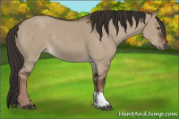 Horse Color:Liver Red Dun Tobiano Rabicano 