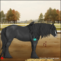 Horse Color:Black Splash 