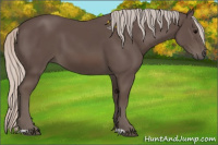 Horse Color:Silver Black 