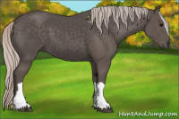 Horse Color:Silver Black 