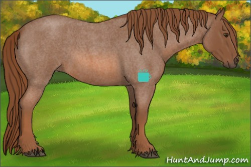 Horse Color:Red Roan 