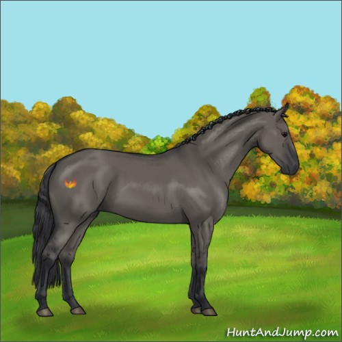 Horse Color:Grullo 