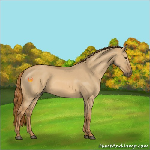 Horse Color:Red Dun 