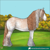 Horse Color:White Spotted Gold Champagne Ice 