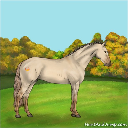 Horse Color:Red Dun