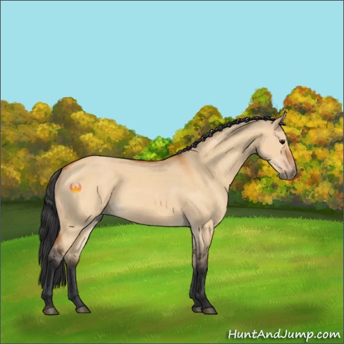 Horse Color:Bay Dun