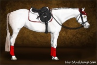 Horse Color:Gray Gold Champagne Tobiano 
