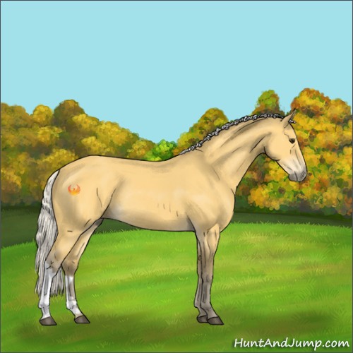 Horse Color:Silver Buckskin Rabicano 