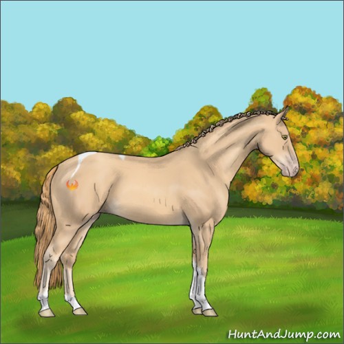 Horse Color:Gold Champagne Tobiano 