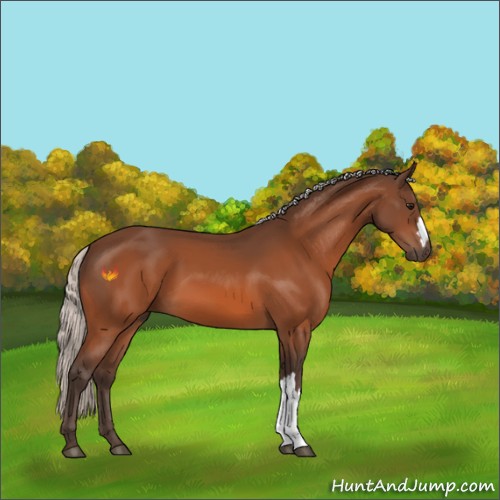 Horse Color:Silver Bay