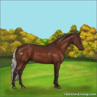 Horse Color:Silver Brown 