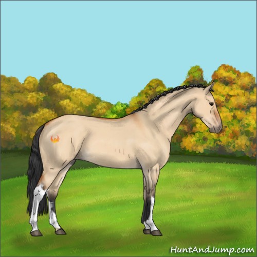 Horse Color:Bay Roan Dun