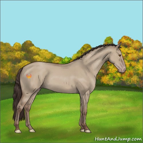 Horse Color:Classic Champagne Dun