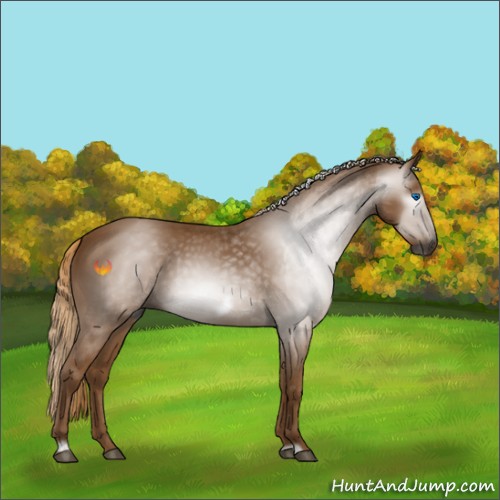Horse Color:Gray Chestnut Frame