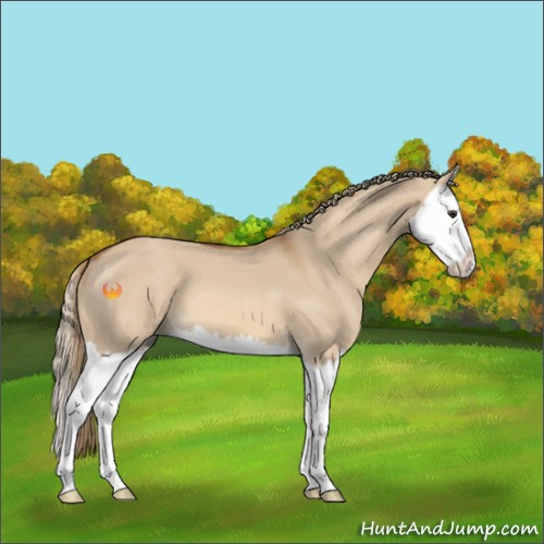 Horse Color:Red Dun Splash 