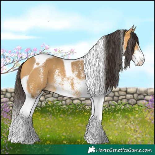 Horse Color:White Spotted Buckskin Tobiano 