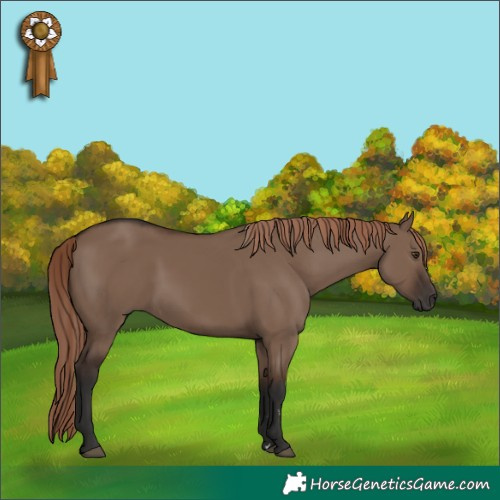 Horse Color:Liver Red Dun Rabicano 