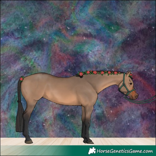 Horse Color:Brown Dun 