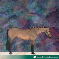 Horse Color:Brown Dun 