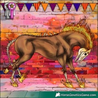 Horse Color:Chestnut 