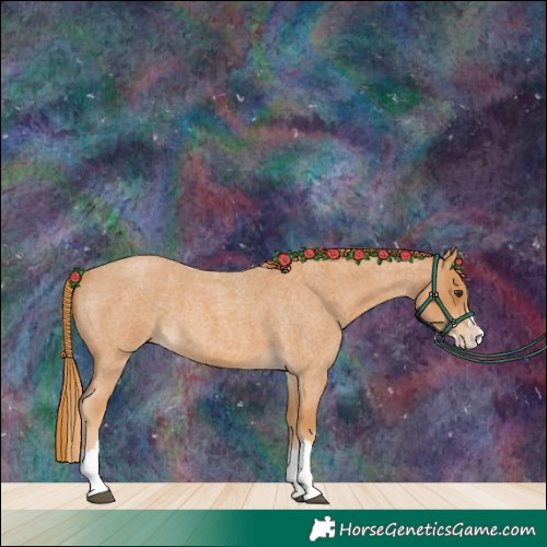 Horse Color:Red Roan Splash 