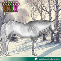Horse Color:Silver Blue Onyx Chinchilla Ice Tobiano 