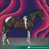 Horse Color:Brown Tobiano 
