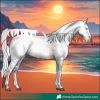 Horse Color:Gray White Spotted Silver Bay Appaloosa 
