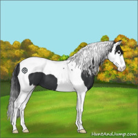 Horse Color:Black Splash Tobiano 