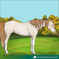 Horse Color:Smoky Blue Roan Pearl Splash 