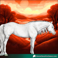 Horse Color:Silver Buckskin Roan Pearl Dun Near Leopard 