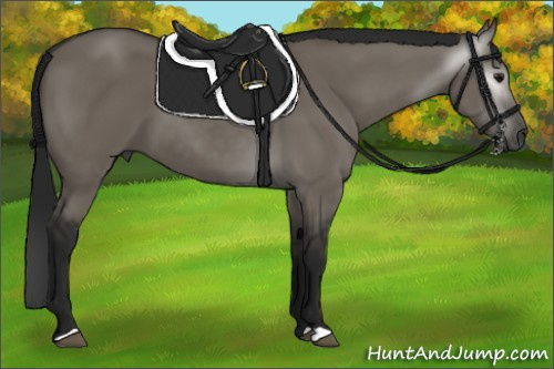 Horse Color:Gray Grullo 