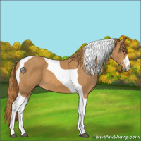 Horse Color:Chestnut Tobiano 