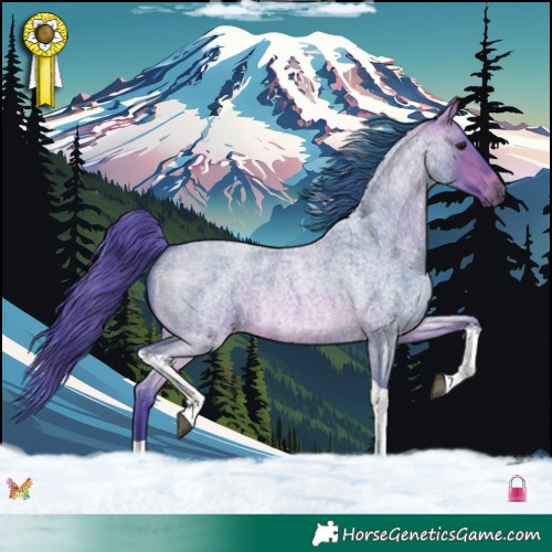 Horse Color:Watercolor Bay Roan Tobiano 