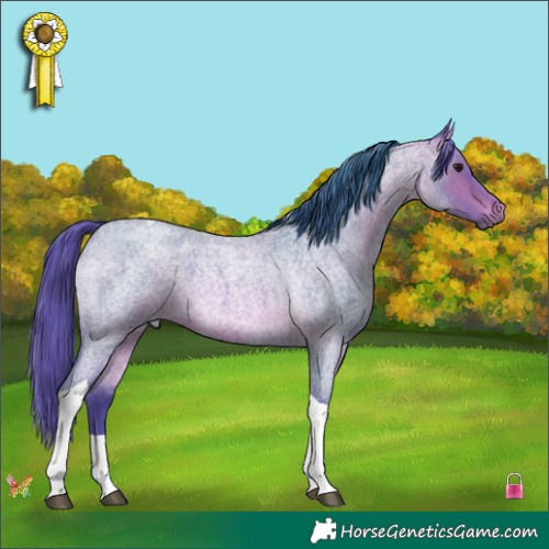 Horse Color:Watercolor Bay Roan Tobiano 
