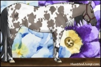 Horse Color:White Spotted Grullo