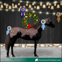 Horse Color:Void Liver Red Dun Splash Rabicano 