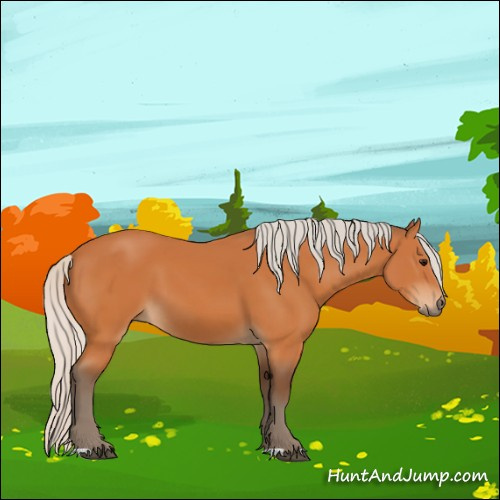 Horse Color:Silver Bay 